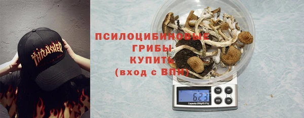 PSILOCYBIN Богданович