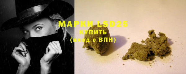 PSILOCYBIN Богданович