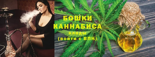 PSILOCYBIN Богданович