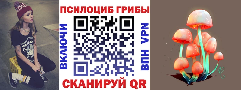 Галлюциногенные грибы MAGIC MUSHROOMS  купить наркоту  Нурлат 